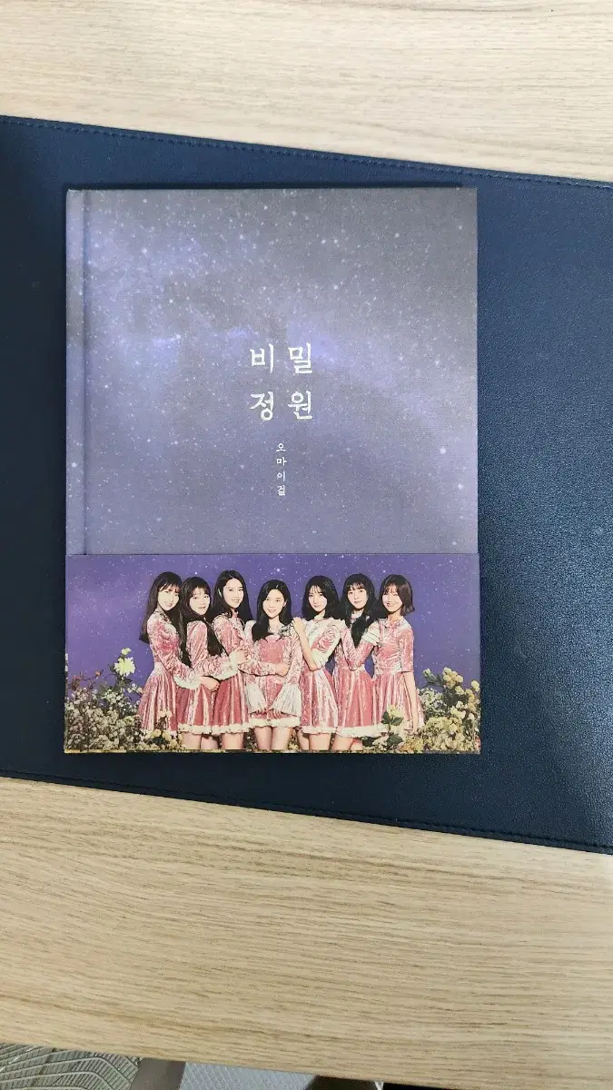 오마이걸 비밀정원 앨범